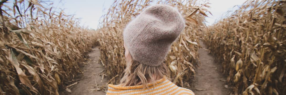 Corn Maze Challenge